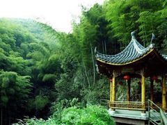 -山沟沟景区