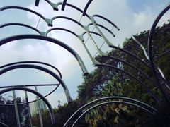 -九龙公园