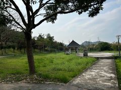 -风云岭森林公园