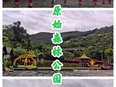 -西双版纳原始森林公园