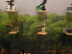 -下渚湖国家湿地公园科普馆