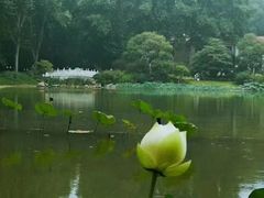 -河南省黄河迎宾馆