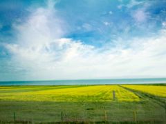 -青海湖国家重点风景名胜区