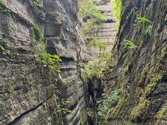 -梭布垭石林景区