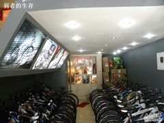 -道路口单车爱瓦士dahon大行