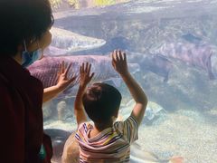 -太平洋海底世界