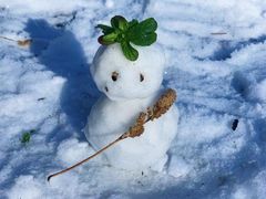 -硗碛藏寨·神木垒景区