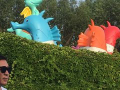 -秦皇岛乐岛海洋王国