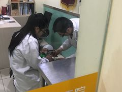 -米苏动物医院·犬猫专科·骨科外科内窥镜