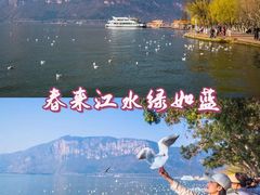 -滇池海埂公园