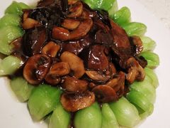 菜心耗油双菇-五芳齋(云南南路店)