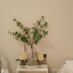 -禾壹净·素颜美问题肌肤修护中心