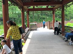 -重庆彩云湖湿地公园
