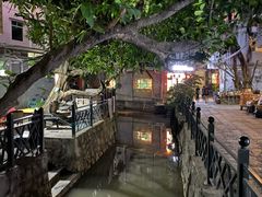 -小洲村