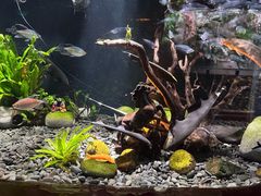 -太平洋海底世界