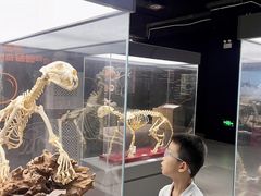 -厦门诚毅自然探索馆