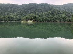 -桃花岭景区