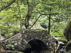 -白云源风景区
