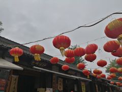 -茯茶镇