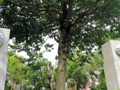 -广州神农草堂中医药博物馆