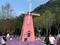 -顺峰山公园