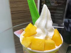 -Salud撒露欧洲冻酸奶(蓝色港湾店)
