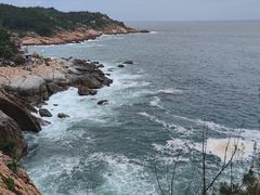 -广东惠东海龟国家级自然保护区