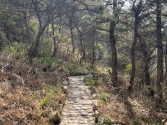 -金石滩蓝莓谷庄园