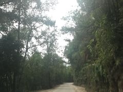 -天龙顶山地公园