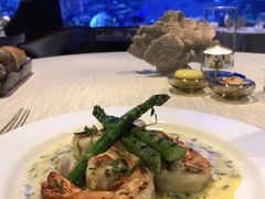 -迪拜帆船酒店海底餐厅