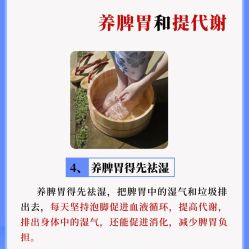 -Fundi张玉珊修身堂·indiba·BTL科技瘦身
