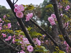 -塔子山公园
