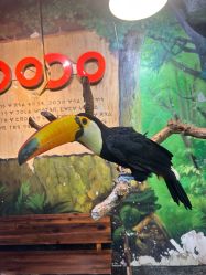 -Zoolung Zoolung动物主题公园(海信广场店)