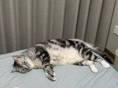 -美美宠物诊疗中心·异宠·骨科(滨江东信分院)