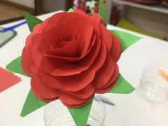 -爱月宝月嫂·育儿嫂(哈尔滨总店)