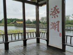 -溱湖国家湿地公园