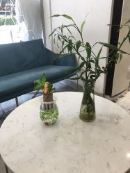-菲·木田moontin造型salon