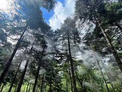 -洛阳白云山景区