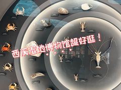 -中国湿地博物馆