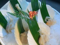 扇贝-生如夏花泰式火锅(西村黑金店)
