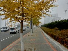 -肯德基(龙之梦购物中心店)