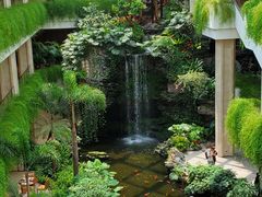 -白天鹅宾馆-宏图府餐厅
