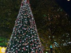 -菲滋意式餐厅(金华银泰城店)