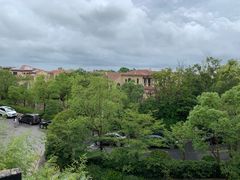 -上海崇明金茂凯悦酒店