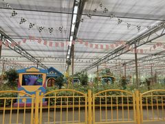 -南宫五洲植物乐园