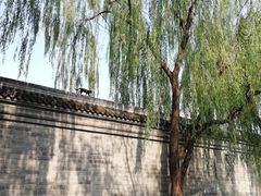 -后海公园