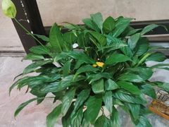 -张钰强中医正骨推拿连锁(唐家人才公寓店)