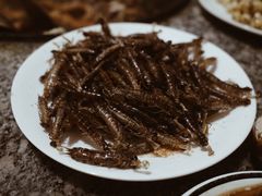 -夏家大锅台炖鱼馆