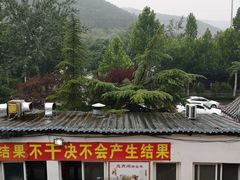 -迎燕阁烤羊腿(二环南路店)