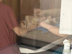 -艾贝尔宠物医院·24H转诊中心·肿瘤猫专科(江宁双龙店)